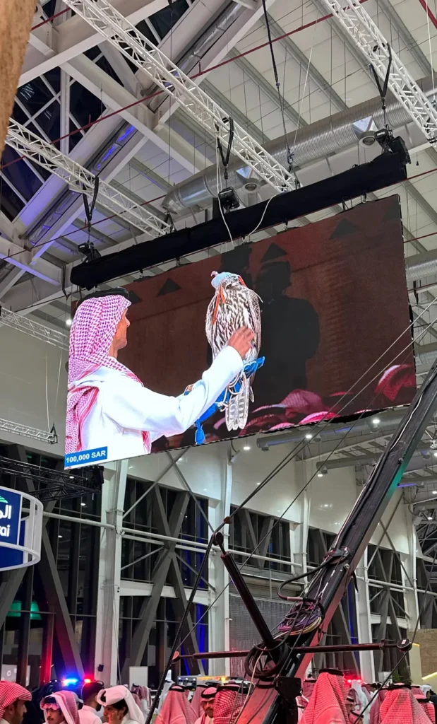 Large screen showing a live falcon auction at the Saudi Falcons and Hunting Exhibition.