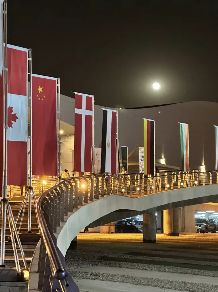 International flags displayed outside the Saudi Build exhibition venue in Riyadh.