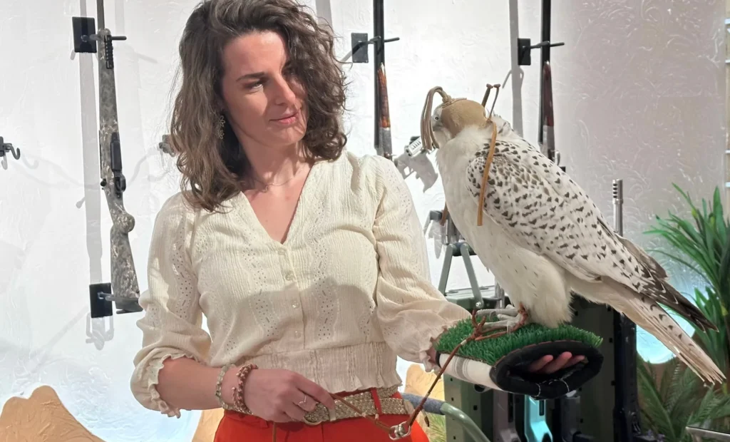Woman holding a hooded white falcon at the Saudi Falcons and Hunting Exhibition.